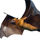 Bat on a white background